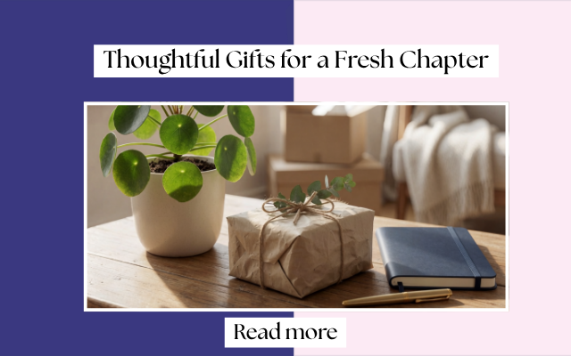 What to Gift Someone Who Is Starting Over? Thoughtful Gifts for a Fresh Chapter